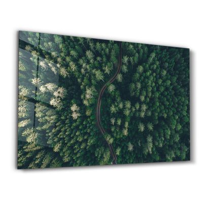 Other wall decoration - Divided Forest | Glass Wall Art - ARTDESIGNA