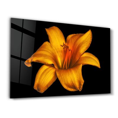 Autres décorations murales - Orange Lily | Glass Wall Art - ARTDESIGNA