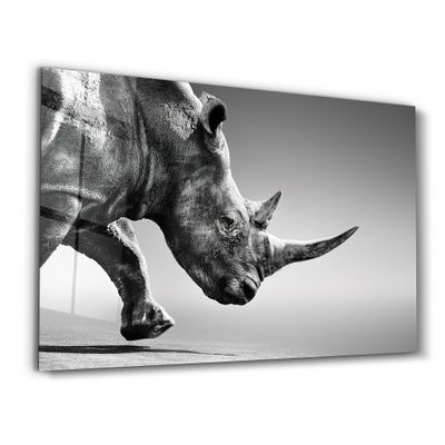 Other wall decoration - Black Rhinoceros | Glass Wall Art - ARTDESIGNA
