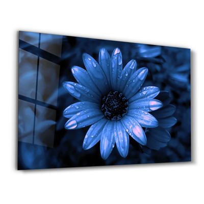 Other wall decoration - Blue Daisy | Glass Wall Art - ARTDESIGNA