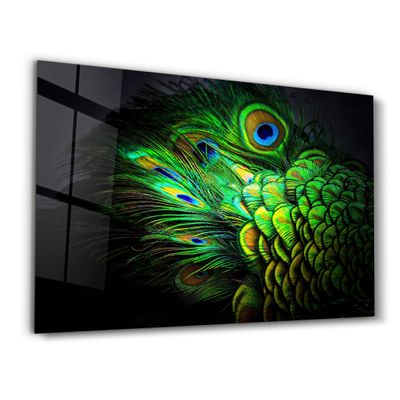 Other wall decoration - Peacock Feather | Glass Wall Art - ARTDESIGNA