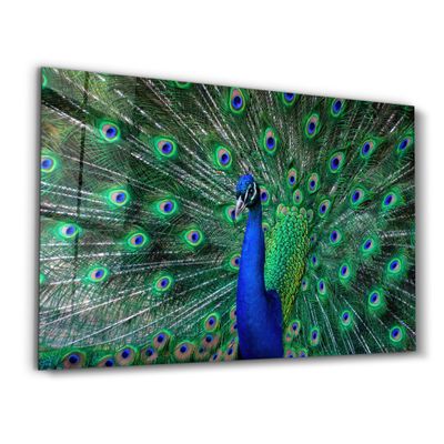 Other wall decoration - The Peacock | Glass Wall Art - ARTDESIGNA