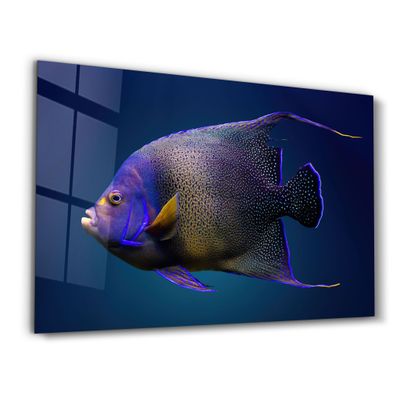 Other wall decoration - Exotic Fish | GLASS WALL ART - ARTDESIGNA