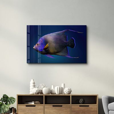 Other wall decoration - Exotic Fish | GLASS WALL ART - ARTDESIGNA