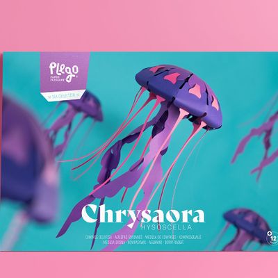 Children's arts and crafts - Chrysaora hysoscella - PLEGO