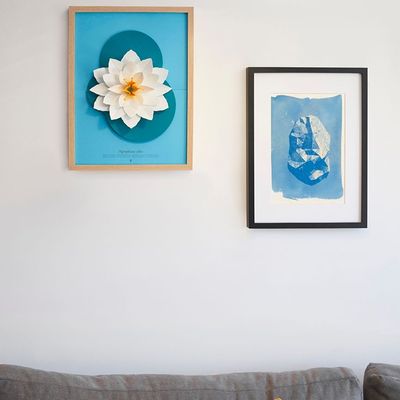 Décorations florales - Nymphaea alba - PLEGO