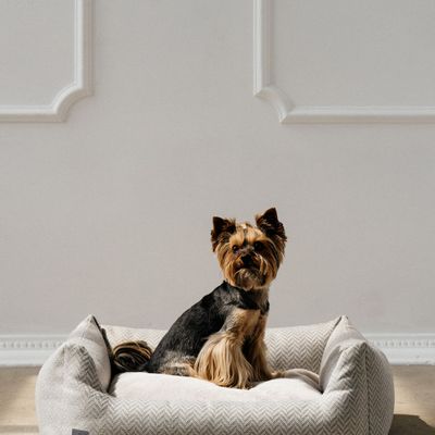 Pet accessories - SERENE DOG BED - PET EMPIRE