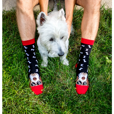 Socks - Arty Dogs Cotton Socks - PIRIN HILL