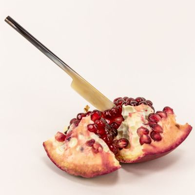 Kitchen utensils - Coriander butter knife set (set of 6) - L INDOCHINEUR X RIVÊT