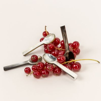 Couverts & ustensiles de cuisine - Set de cuillères à  sel Ramboutan (par 6) - L INDOCHINEUR X RIVÊT