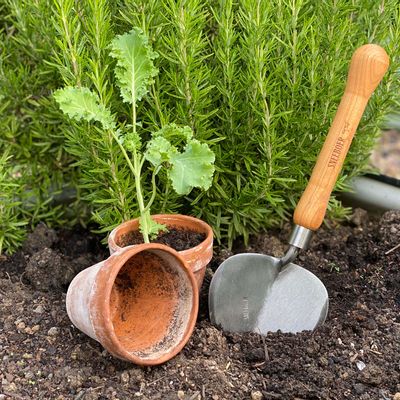 Garden accessories - Planting Trowel Old Dutch Style - SNEEBOER