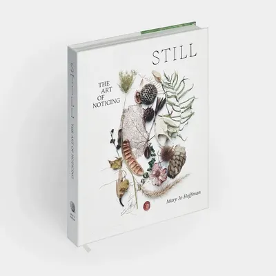 Papeterie - Still: The Art of Noticing - PHAIDON