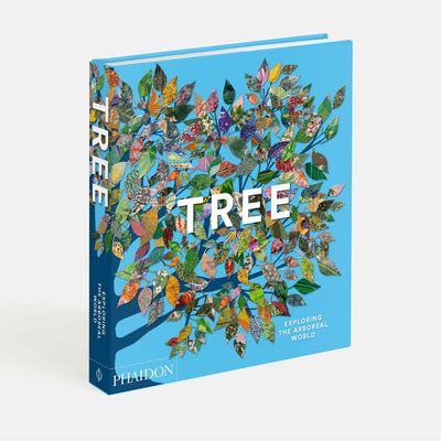 Papeterie - Arbres: Explorer le monde des racines aux cimes - PHAIDON