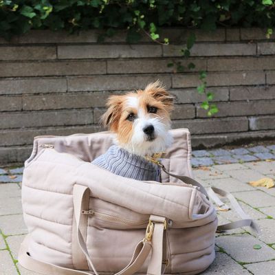Pet accessories - RIO Dog bag carrier - TADAZHI