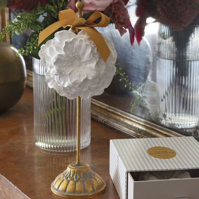 Senteurs - Grande Fleur parfumée - Fleur d'Oranger - MATHILDE M.