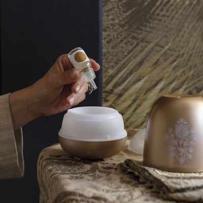 Scent diffusers - Les Intemporelles home fragrance superconcentrate 10 ml - Rose Elixir - MATHILDE M.