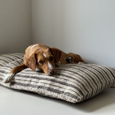 Couettes et oreillers  - Lit vintage pour chien tissé à la main - pièces uniques - STUDIO AUGUSTIN