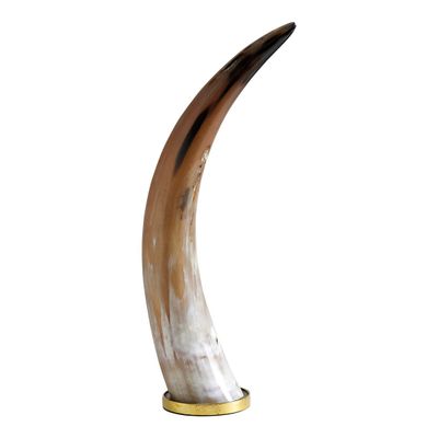 Objets de décoration - Corne DANELE - Grand modèle - BLANC D'IVOIRE