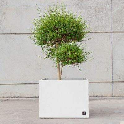 Vases - Cubic 45, planter - SIT URBAN DESIGN