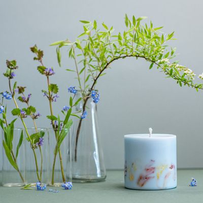 Bougies - Bougie au parfum d'eucalyptus - TL CANDLES