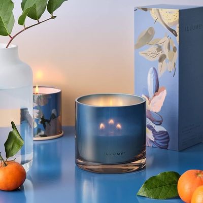 Candles - Citrus Crush Statement Glass Candle, Blue - ILLUME