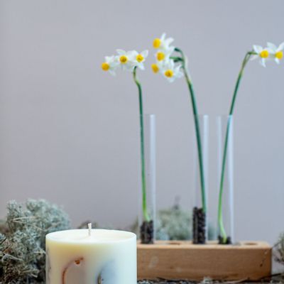 Bougies - Candle with Vanilla Scent - TL CANDLES