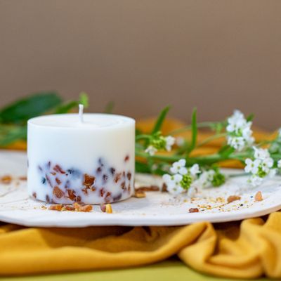 Bougies - Candle with Pine Scent - TL CANDLES