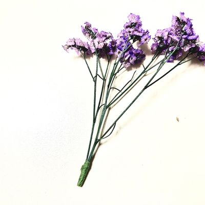 Parfums d'intérieur - Fleur stabilisée_Sinensis - NATURE N