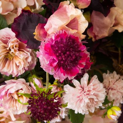 Floral decoration - SCABIEUSE MARIPOSA - Lou de Castellane - Artificial flowers - LOU DE CASTELLANE