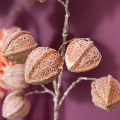 Floral decoration - PHYSALIS PRUINOSA - Lou de Castellane - Artificial plants - LOU DE CASTELLANE