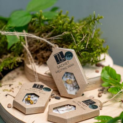 Home fragrances - Aroma wax with Forest scent - TL CANDLES