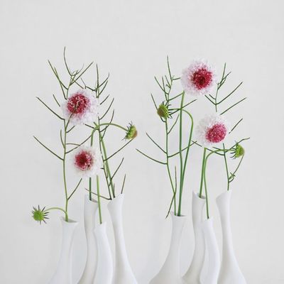 Design objects - Dancer Vase , biscuit de porcelaine, Héécm, L19cm - YLVAYA DESIGN