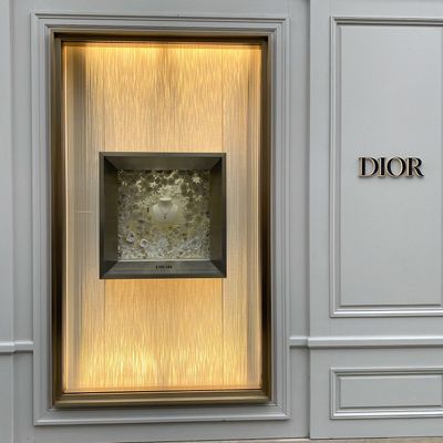 Floral decoration - Window displays, giant flowers, meadow paintings... - ALEX HACKETT