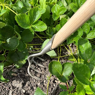 Gifts - Rose- Weeding Rake - SNEEBOER