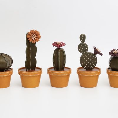 Design objects - CACTACEAE, Leather Cactus Box - TAIWAN CRAFTS & DESIGN