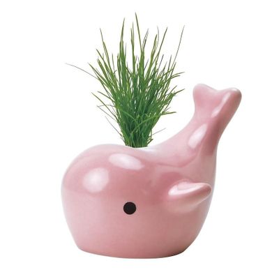 Children's decorative items - Happy Whale - Ceramic Jar - NOTED