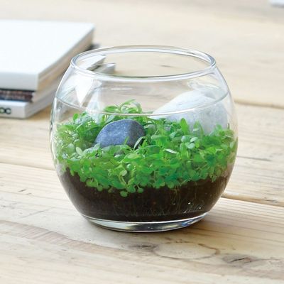 Accessoires de déco extérieure - Water Garden - NOTED