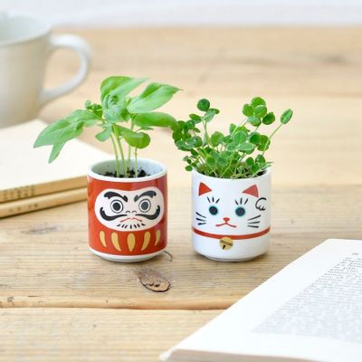 Cadeaux - Plantes Porte-bonheur - Daruma Doll - NOTED