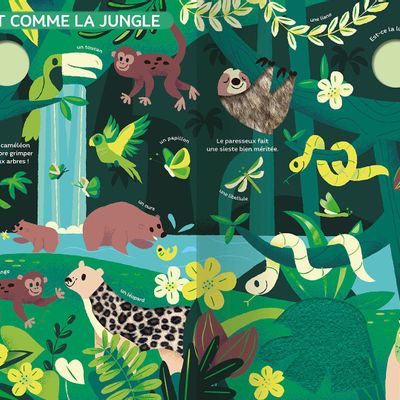 Toys - My very big book of awakening - The world of colors - AUZOU