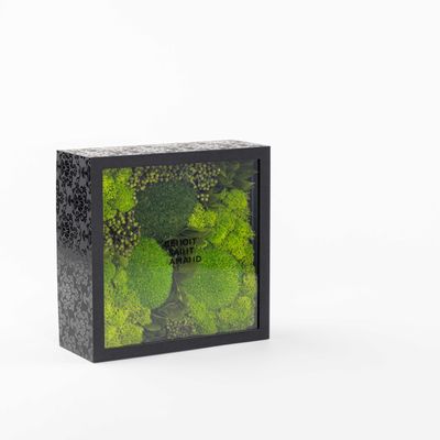 Coffrets et boîtes - Coffret de fleurs préservées - Boîte carrée Size L - BENOIT SAINT AMAND