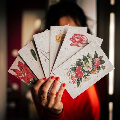 Card shop - Plantable seed cards - PAPIERFLEUR