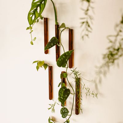 Vases - Walleaf (6 pack) - WALLEAF