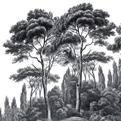 Wall panels - Black and white pine and cypress panoramic wallpaper - ANANBÔ WALL MURAL