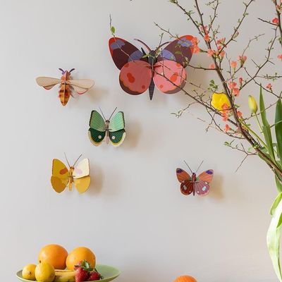 Other wall decoration - Butterflies & Beetles - STUDIO ROOF