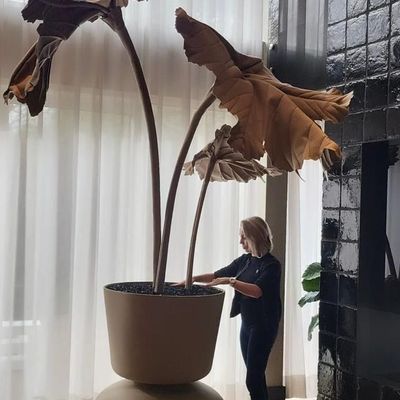 Vases - POLDR objects - POLDR