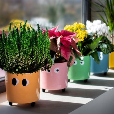 Floral decoration - EYES PLANT POT - FISURA