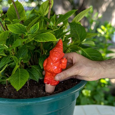 Floral decoration - SELF-WATERING GNOME - FISURA