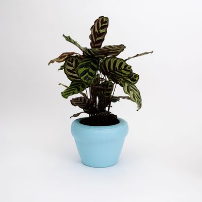 Decorative objects - Home Studyo - PIERRE planter - BELGIUM IS DESIGN