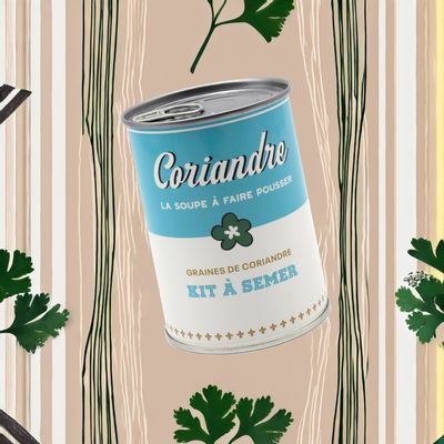 Outdoor decorative accessories - seed kit\" coriander soup\” Made in France - MAUVAISES GRAINES