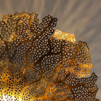 Hanging lights - HANGING GORGON TACOS/HANGING GORGON TACOS - SEBASTIEN REAL